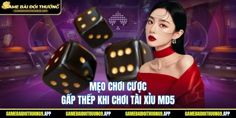 Mẹo cược gấp thếp khi tham gia trò chơi tài xỉu MD5