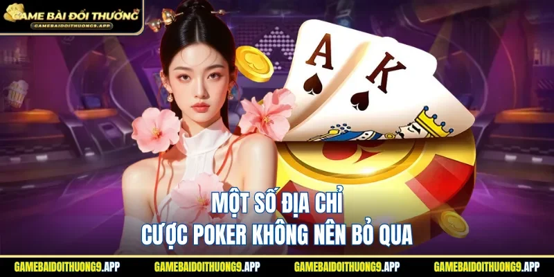 Điểm danh các sân chơi nổi tiếng